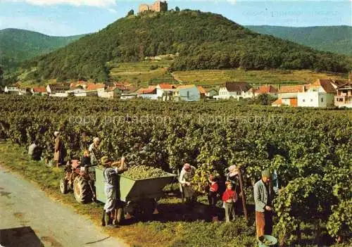 AK / Ansichtskarte  Hambach__Neustadt_Weinstrasse Hambacher Schloss Weinlese