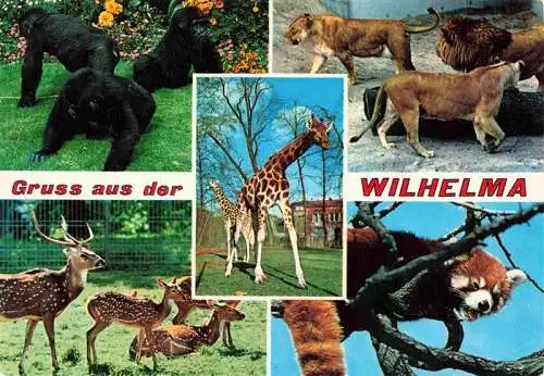 AK / Ansichtskarte  Zoo Gardin Zoologique-- Bad Cannstatt Wilhelma Gorilla Loewen Axishirsche Panda Giraffe