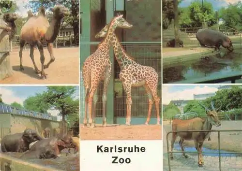 AK / Ansichtskarte  Zoo Gardin Zoologique-- Karlsruhe Kamel Elefant Giraffe Flusspferd Elenantilope