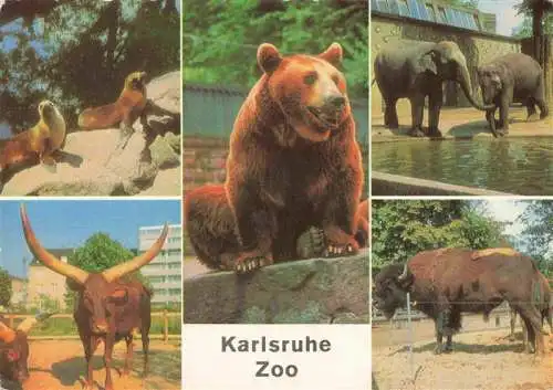 AK / Ansichtskarte  Zoo Gardin Zoologique-- Karlsruhe Seeloewen WatussiRinder Braunbaeren Elefanten Bison