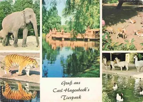 AK / Ansichtskarte  Zoo Gardin Zoologique-- Carl Hagenbeck Hamburg Stellingen Elefanten Lama Tieger