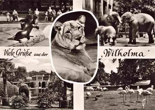 AK / Ansichtskarte  Zoo Gardin Zoologique-- Wilhelma Stuttgart Bad Cannstatt Seeloewe Elefant Loewe Flamingos