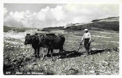 AK / Ansichtskarte  LEBANON A ploughman