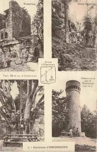 AK / Ansichtskarte  Oberbronn Elsass 67 Bas Rhin Wasenburg Vieux Hetre sur la Immenkopf Observatoire sur le Wasenkopf Gross Arnsburg