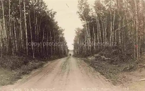 AK / Ansichtskarte  Bemidji Minnesota USA Road to Birchmont