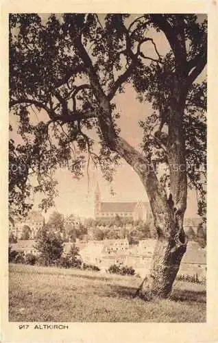 AK / Ansichtskarte  Altkirch 68 Haut-Rhin Panorama Kirche