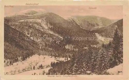 AK / Ansichtskarte  Hohneck Le 88 Vosges mit Saitelkopf und Gaschneykopf Partie beim Ampfersbach