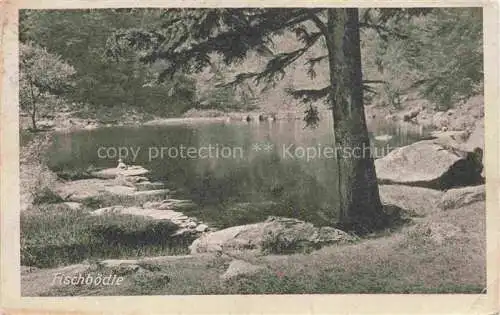 AK / Ansichtskarte  Fischboedle Fischboedle 88 Alsace Panorama