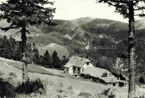 AK / Ansichtskarte  Schnepfenried Elsass Munster 68 Haut-Rhin Vallee de Munster au fond le Hohneck