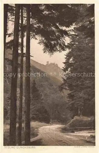 AK / Ansichtskarte  St-Ulrich St-Ulric Alsace 68 Haut-Rhin Ulrichsburg