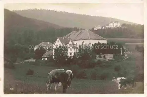 AK / Ansichtskarte  Tierenbach Thierenbach Jungholtz 68 Haut Rhin Sainte Anne