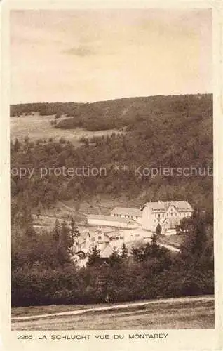 AK / Ansichtskarte  La Schlucht 1150m Gerardmer 88 Vosges Vue du Montabey