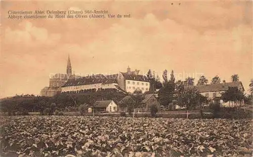 AK / Ansichtskarte  Oelenberg Abtei Reiningue 68 Elsass Abbaye cistercienne du Mont des Olives Vue du sud