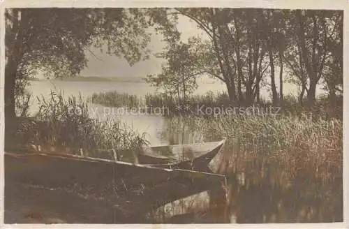 AK / Ansichtskarte Bielersee_Lac_de_Bienne_BE Stimmungsbild am See 