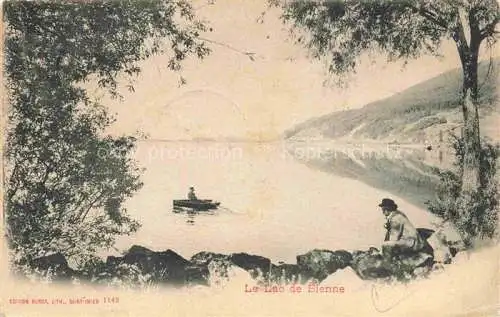 AK / Ansichtskarte Lac_de_Bienne_Bielersee_BE Vue panoramique 