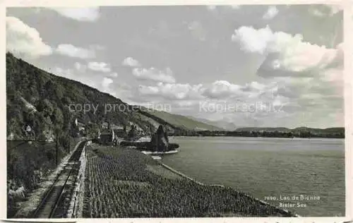 AK / Ansichtskarte Bielersee_Lac_de_Bienne_BE Eisenbahn Uferregion 