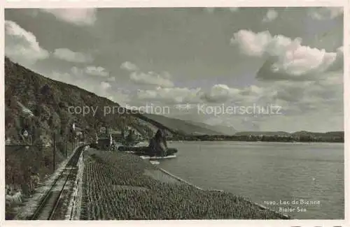 AK / Ansichtskarte Bielersee_Lac_de_Bienne_BE Eisenbahn Uferregion 