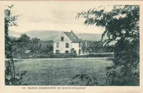 AK / Ansichtskarte Schweitzerhof_Dann_Pfalzburg_Phalsbourg_57_Moselle Maison Forestiere 