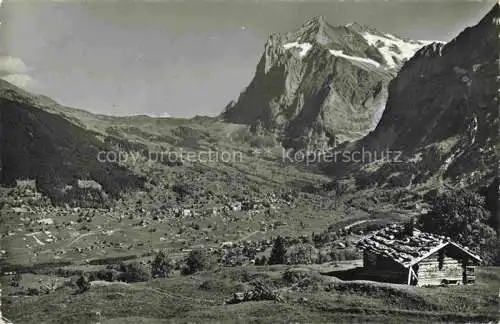 AK / Ansichtskarte Grindelwald_BE mit Wetterhorn 