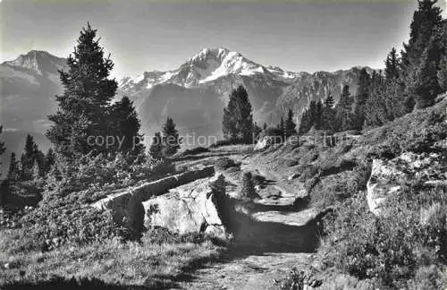 AK / Ansichtskarte Riederalp_VS Casselweg am Riederhorn Huebschhorn und Fletschhorn 