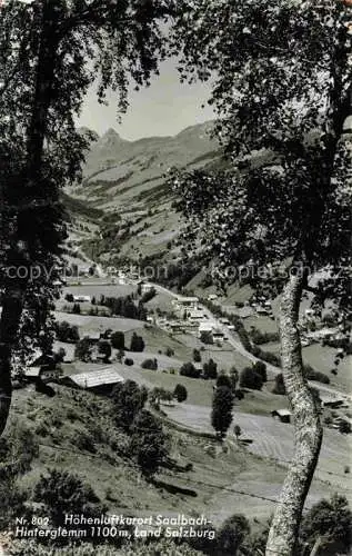 AK / Ansichtskarte  Saalbach -Hinterglemm AT Panorama