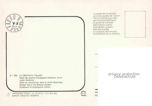 AK / Ansichtskarte  Orotava Tenerife Abol del caucho en el Jardin Botanico