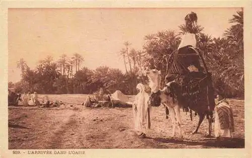 AK / Ansichtskarte  Kamele  Camel Chameau-- Tunisien L'arrivee dans L'oasie