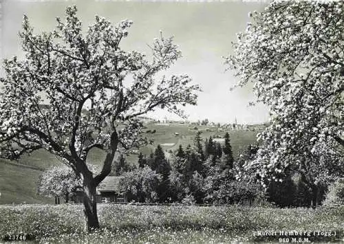 AK / Ansichtskarte Hemberg_Toggenburg_SG Panorama 