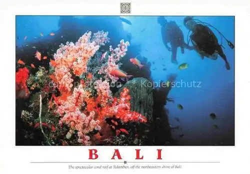 AK / Ansichtskarte  Bali  Indonesia The spectacular coral at Tualmben off the northeastern shore