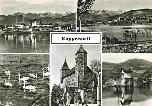 AK / Ansichtskarte Rapperswil_BE Faehre Schwaene Schloss  Rapperswil BE