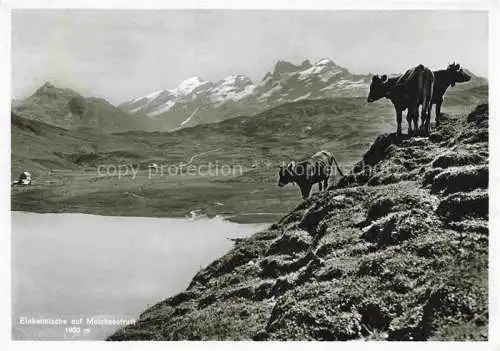 AK / Ansichtskarte Melchsee Frutt Einheimische auf der Melchseefrutt Melchsee Frutt