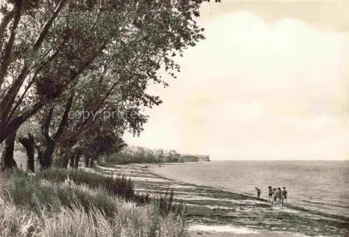 AK / Ansichtskarte  Boltenhagen Ostseebad Strand