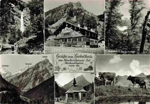 AK / Ansichtskarte  Giebelhaus 1100m Hinterstein Bad Hindelang Taeschlefall Wiedemer Baergundletal Kapelle Rinder