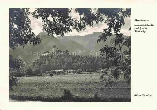 AK / Ansichtskarte  Aschau Chiemgau Burgblick Panorama