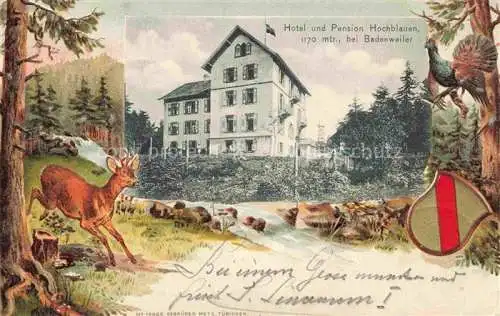 AK / Ansichtskarte  BADENWEILER BW Hotel Pension Hochblauen Waldpartie Reh Auerhahn Wappen