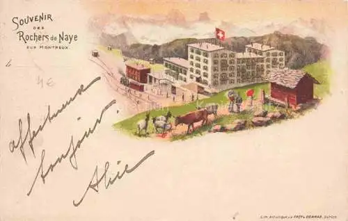 AK / Ansichtskarte Rochers_de_Naye_VD Berghotel Alpen Litho 