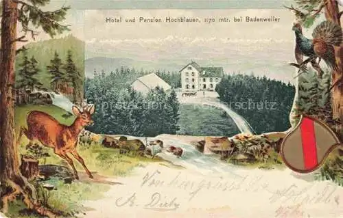 AK / Ansichtskarte  BADENWEILER BW Hotel Pension Hochblauen Waldpartie Schwarzwald Reh Auerhahn