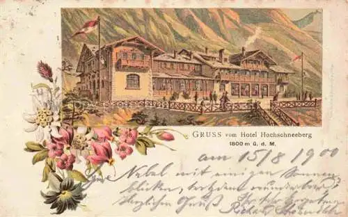 AK / Ansichtskarte  Puchberg Schneeberg Niederoesterreich AT Hotel Hochschneeberg Litho