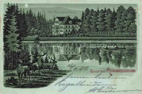 AK / Ansichtskarte  Reinhardsbrunn Friedrichroda Thueringen Hotel Pension Reinhardsbrunn Hirsche See Wasserspiegelung Litho