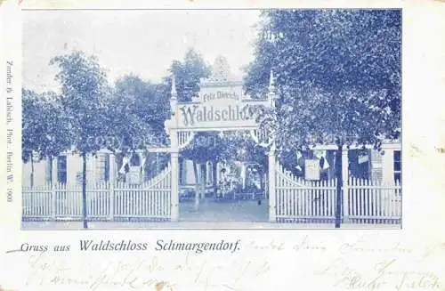 AK / Ansichtskarte  BERLIN Waldschloss Schmargendorf Deutsche Reichspost