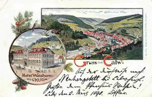 AK / Ansichtskarte  Calw Panorama Hotel Waldhorn Litho