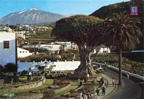 AK / Ansichtskarte  Icod de los Vinos Tenerife Islas Canarias ES El Drago Milenario