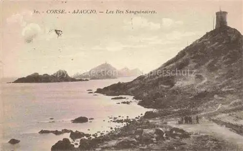 AK / Ansichtskarte AJACCIO_2A_Corse du Sud Les Iles Sanguinaires 