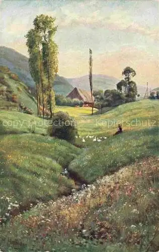 AK / Ansichtskarte HOFFMANN__Heinrich_Kuenstlerkarte Schwarzwald Idyll Aufstieg zum Landwassereck 