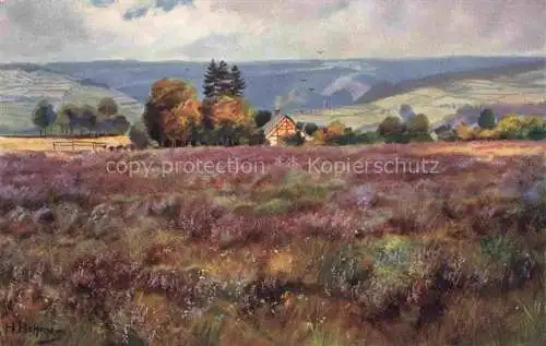 AK / Ansichtskarte HOFFMANN__Heinrich_Kuenstlerkarte Heide bei Malmedy in der Eifel hohe Venn 