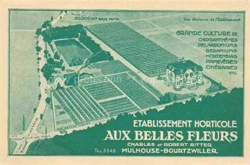 AK / Ansichtskarte Bourtzwiller_Burtzweiler_Mulhouse_Muehlhausen_68_Haut Rhin Etablissement Horticole aux belles fleurs vue aerienne Kuenstlerkarte 