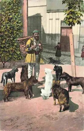 AK / Ansichtskarte  Constantinople Constantinopel ISTANBUL TK Les chiens de rue