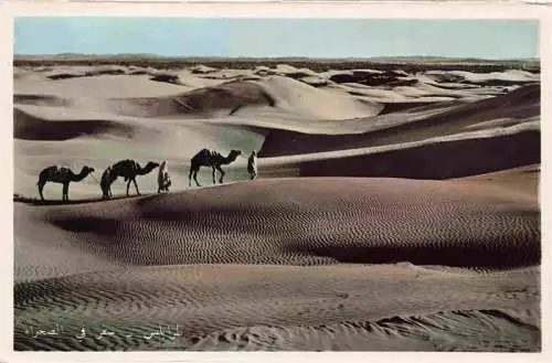 AK / Ansichtskarte  Kamele  Camel Chameau-- Tripoli Sahara reise