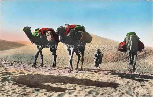 AK / Ansichtskarte  Kamele  Camel Chameau-- Scenes et Types Afrique du Nord Dans les Dunes