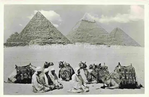 AK / Ansichtskarte  Kamele  Camel Chameau-- U.A.R. Egypt